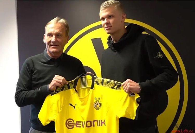 世界杯分组：阿根廷+葡萄牙好签 日本遇荷兰 法国挪威进死亡之组